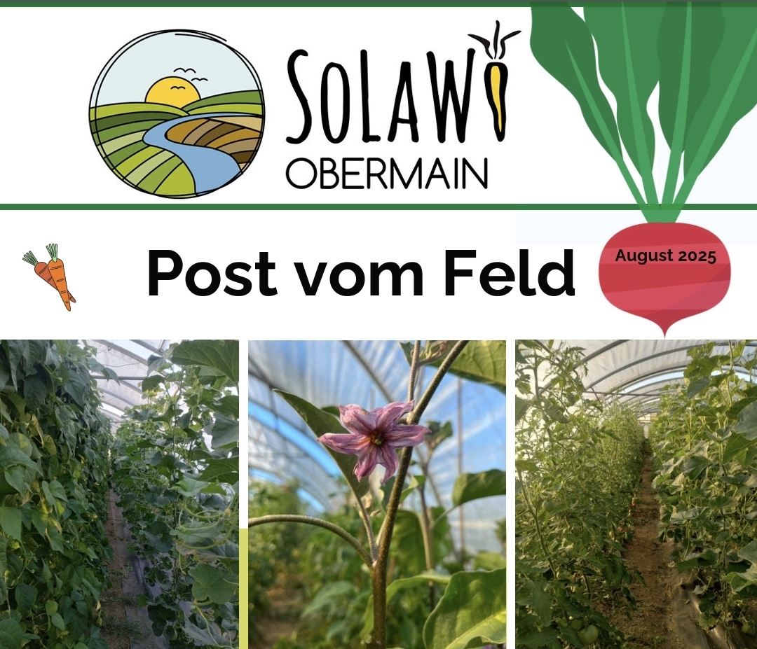 Newsletter August 2026