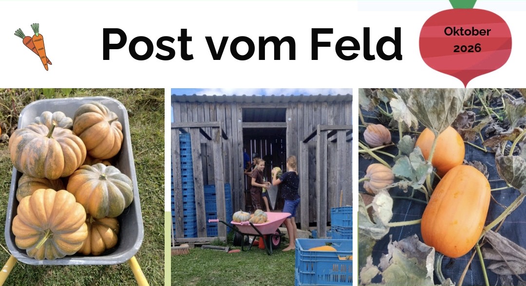 Post vom Feld Oktober 2026